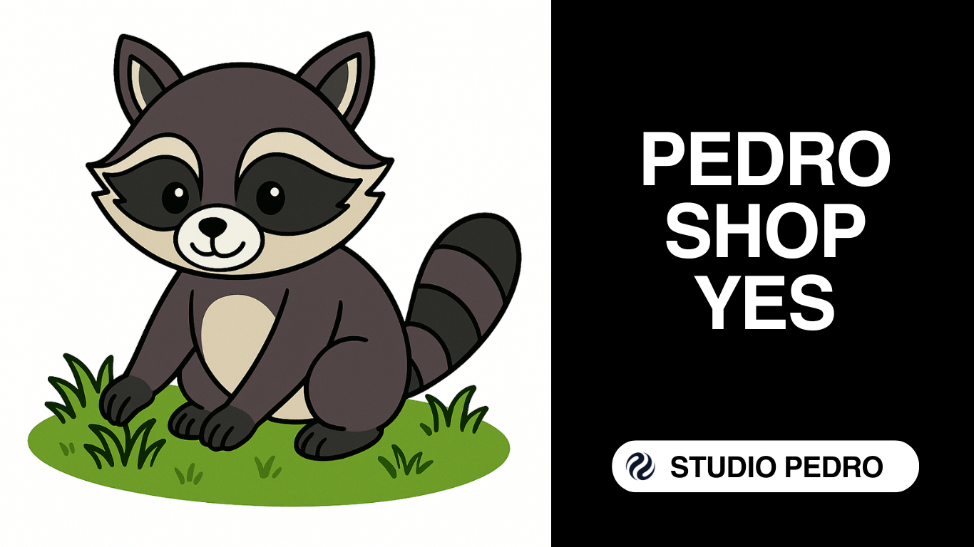 Raccoon Merchandise